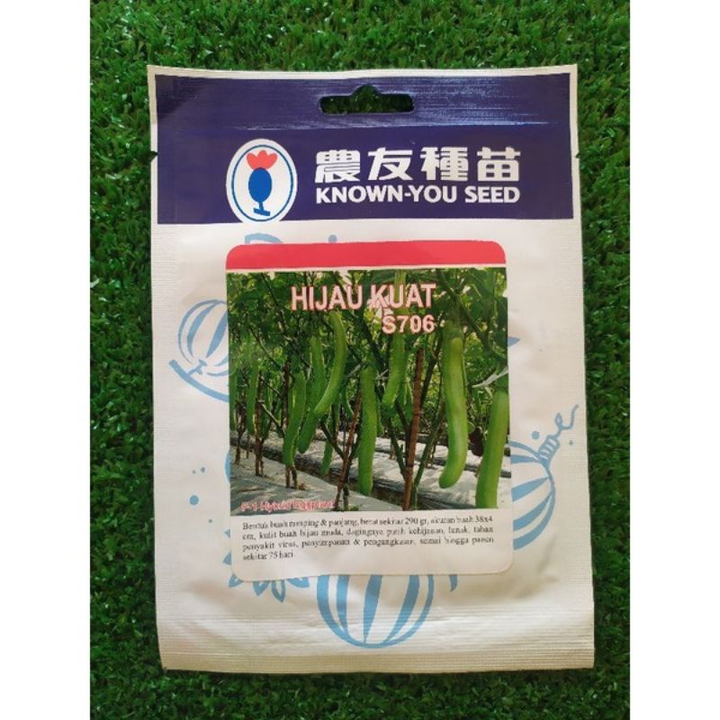 Terong Hijau kuat/ ijo kuat (5gr) - know you seed