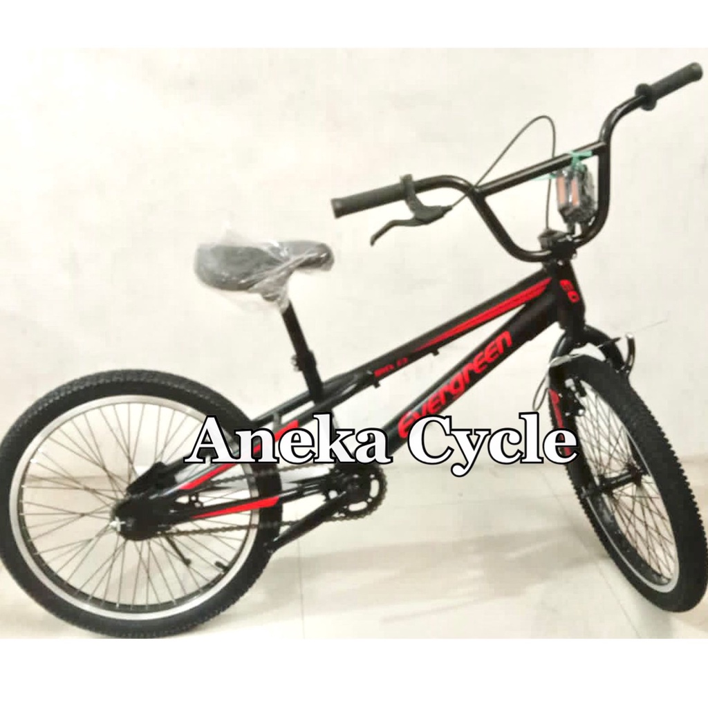 [EKA JAAYA SEPEDA] Sepeda Bmx Evergreen F3 20 Inch Torpedo Rotor