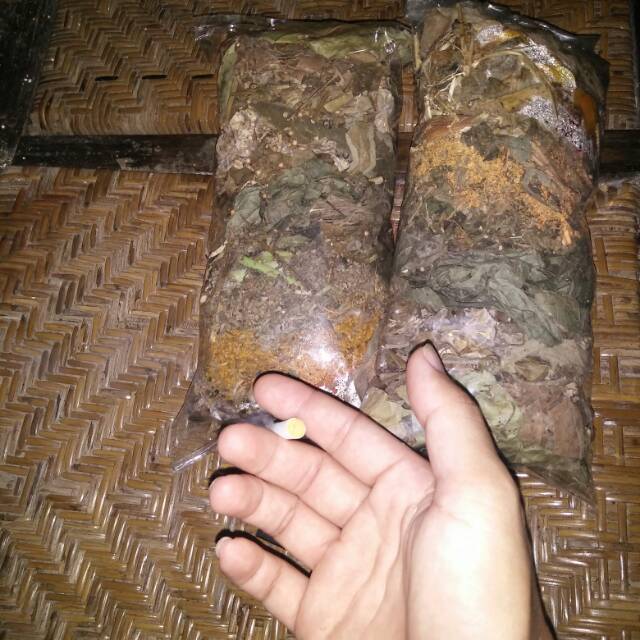 

REMPAH REMPAH KESEHATAN
