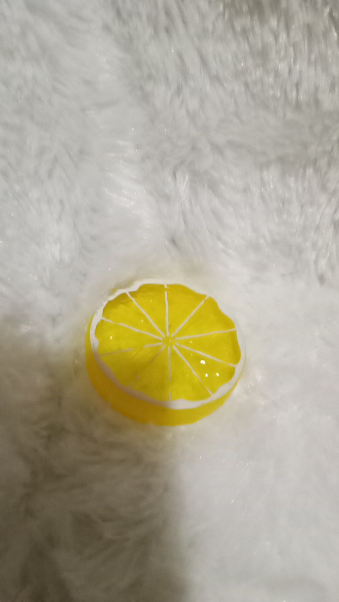 Lemon Slice Artifisial/properti Foto