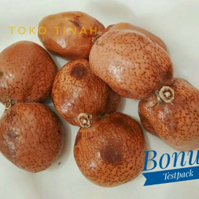 300 gram (2-3) buah Zuriat kembar Mesir buat promil