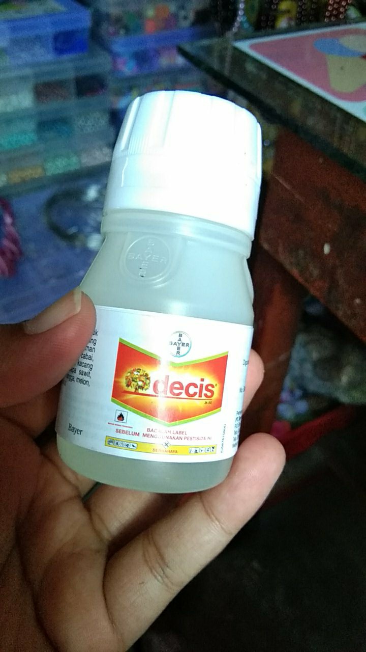 Decis Insektisida Obat Anti Hama Serangga Insectisida Cair