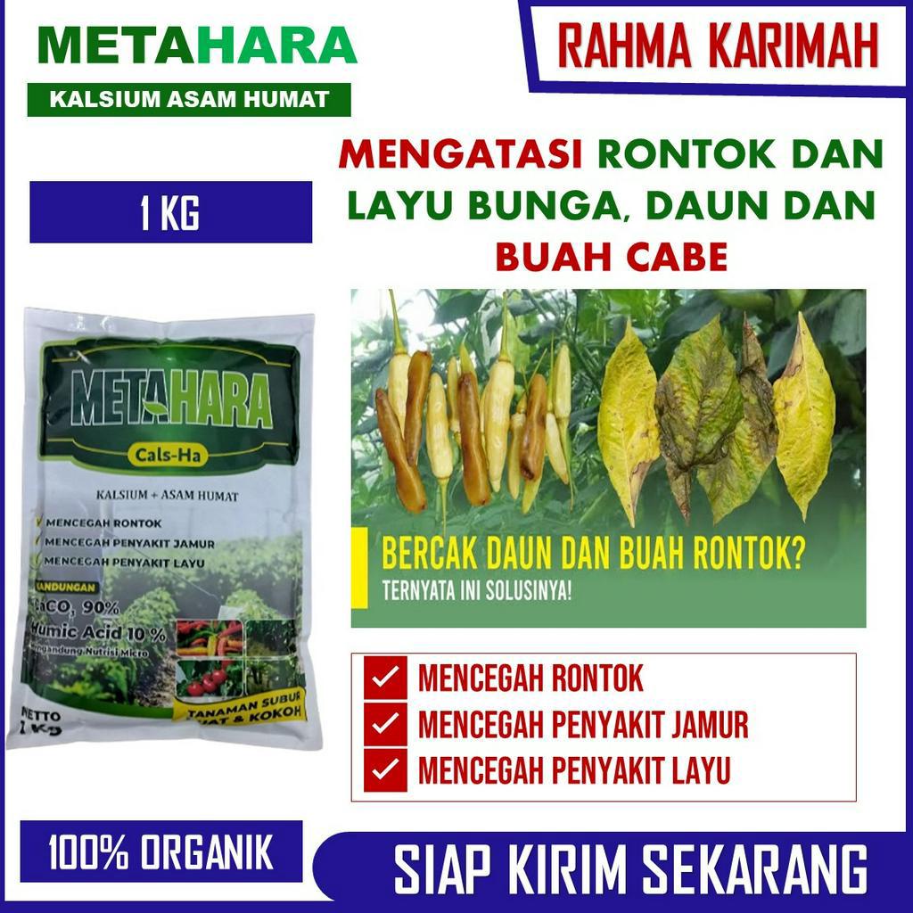 METAHARA 1 KG Pupuk Organik Pengendali Layu dan Rontok Cabe Alami Terpercaya – Pupuk Atasi Bercak Da
