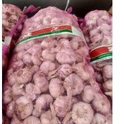 

bawang putih bal