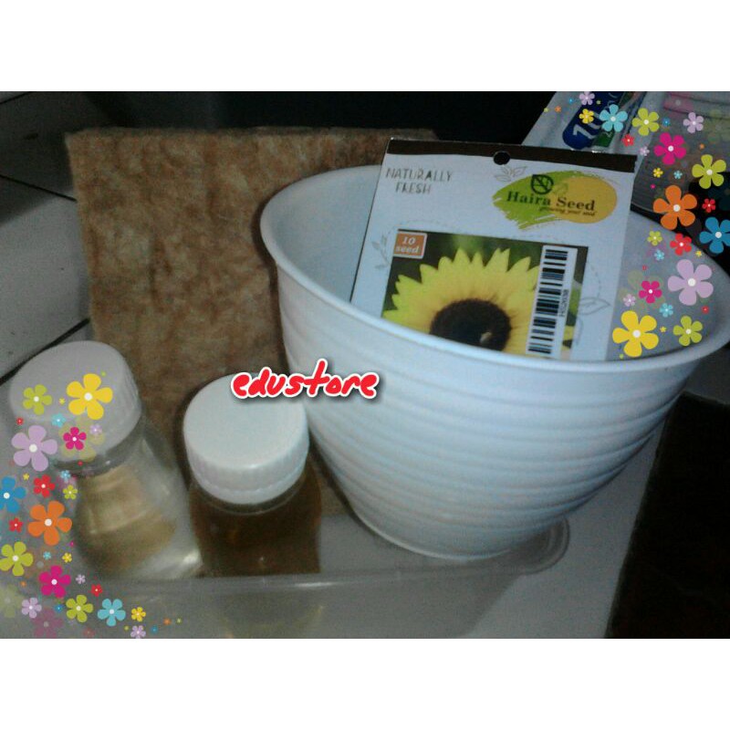 

Paket Hidroponik Bunga Matahari Pot Tawon 12 cm