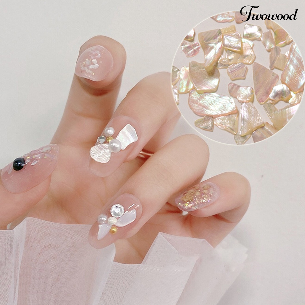 Ornamen Payet Kerang Abalone Asimetris 3D Untuk Aksesoris Nail Art