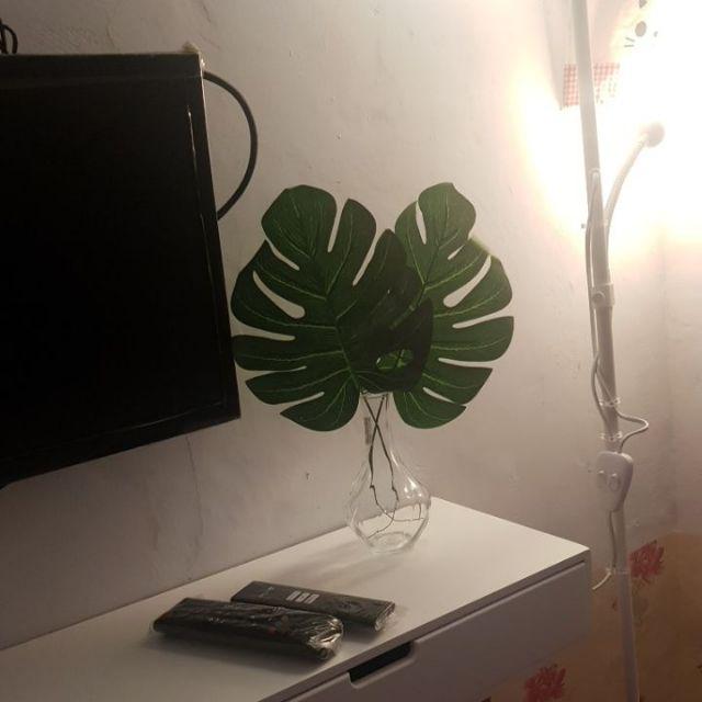 Daun Monstera Set Vas Kaca
