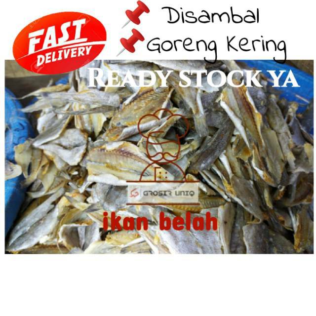 

Ikan kepala batu belah Medan