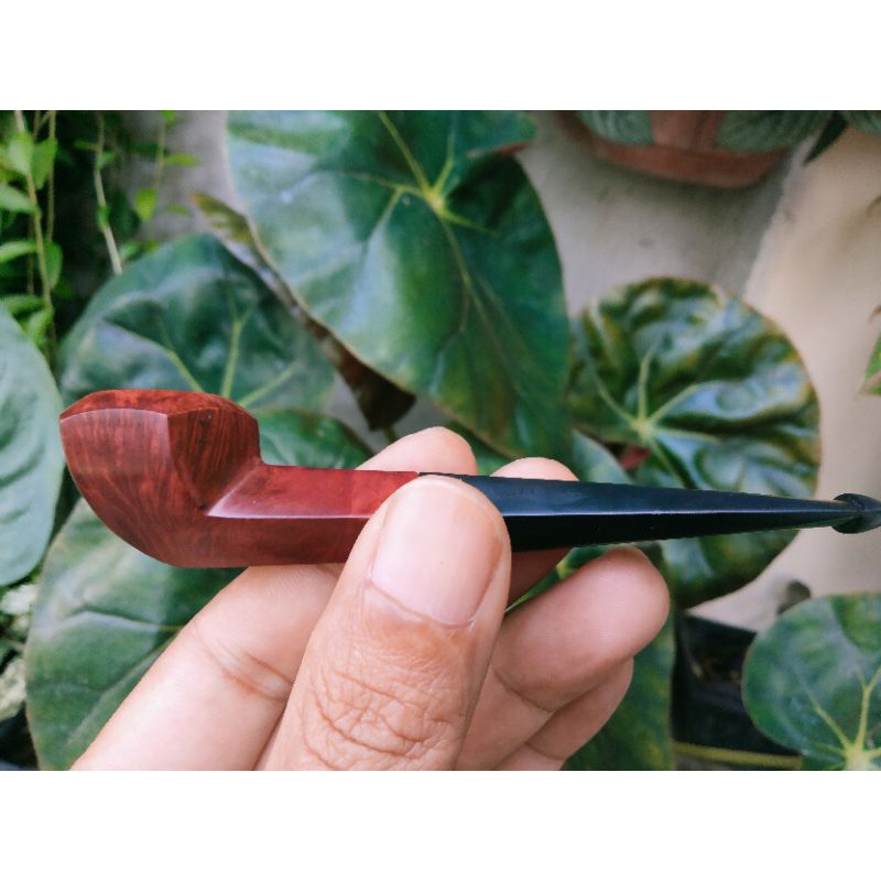 pipa cangklong briar import