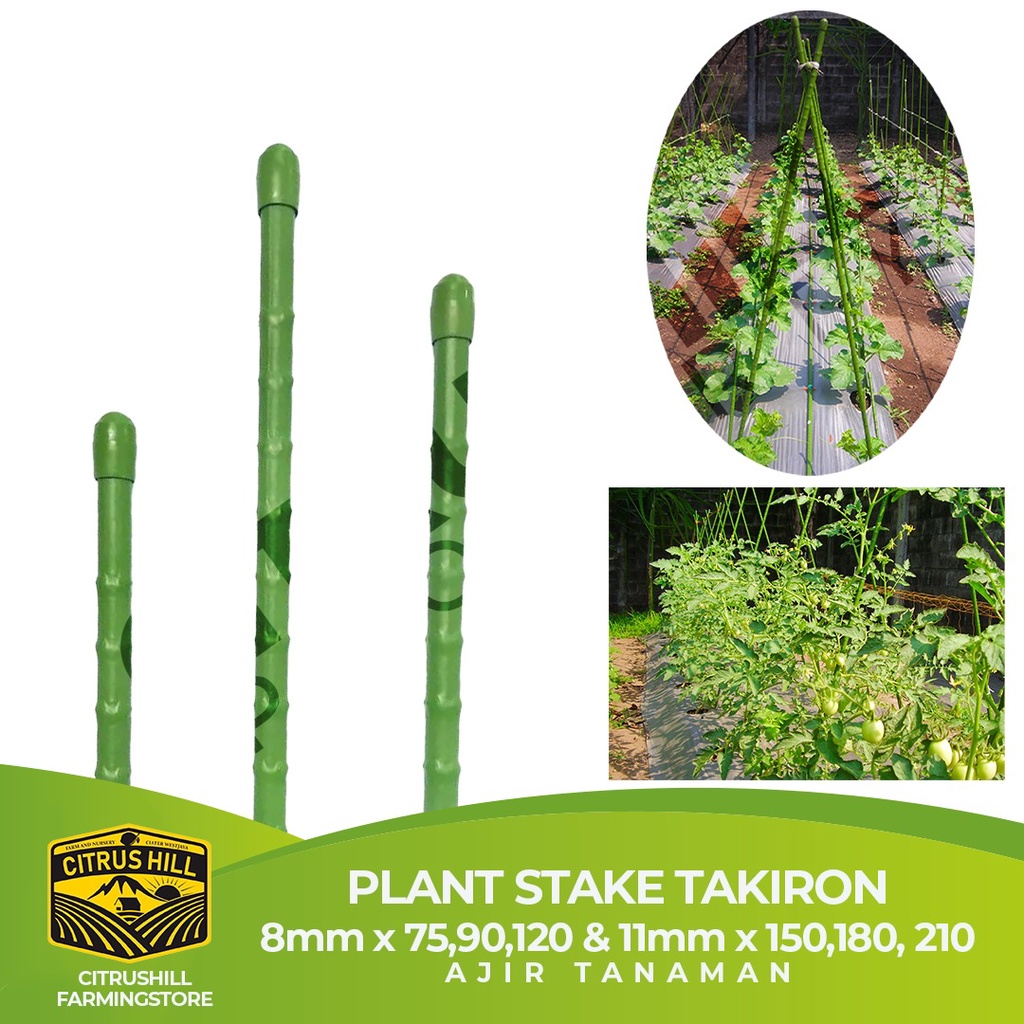 Jual Ajir Penyangga Tanaman Modern Takiron 8mm X7590120cm 11mm X150180210cm Plant 0266