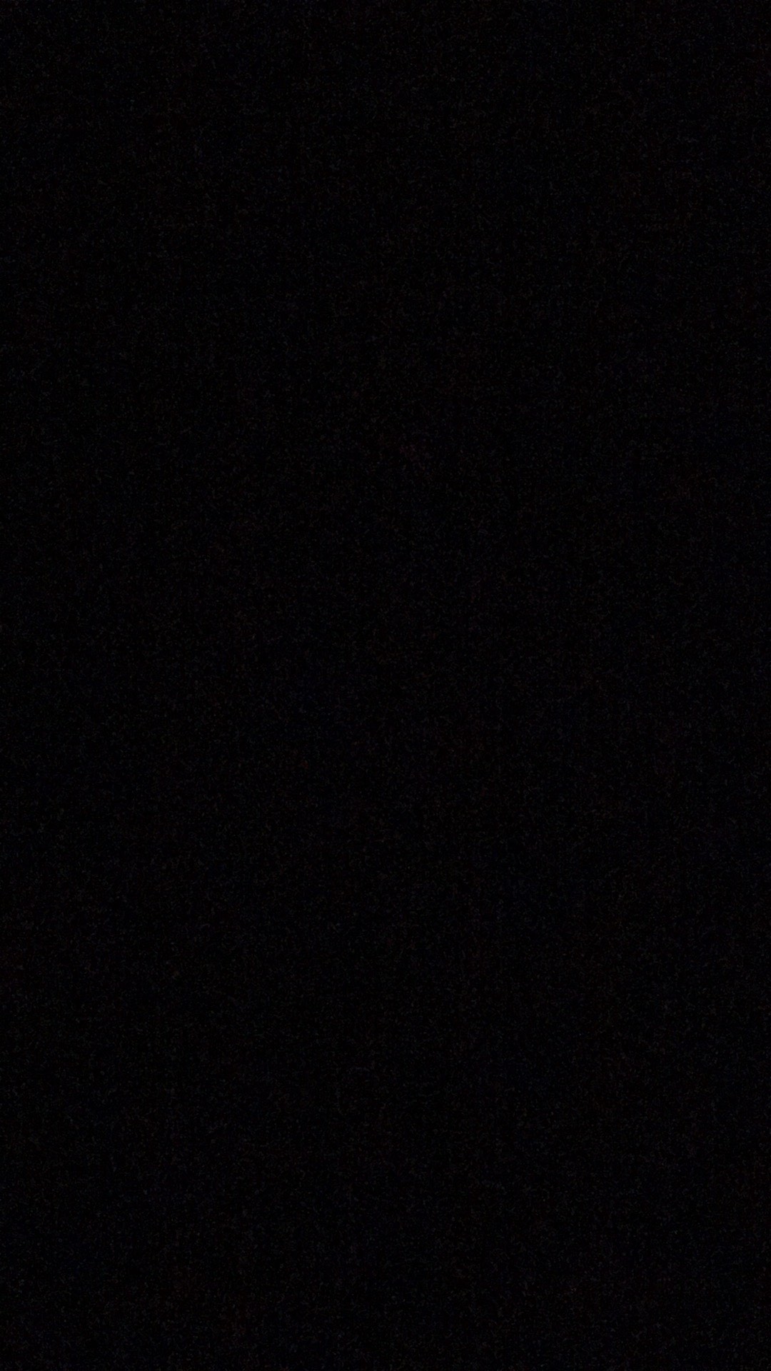 Tanaman Calathea Silver