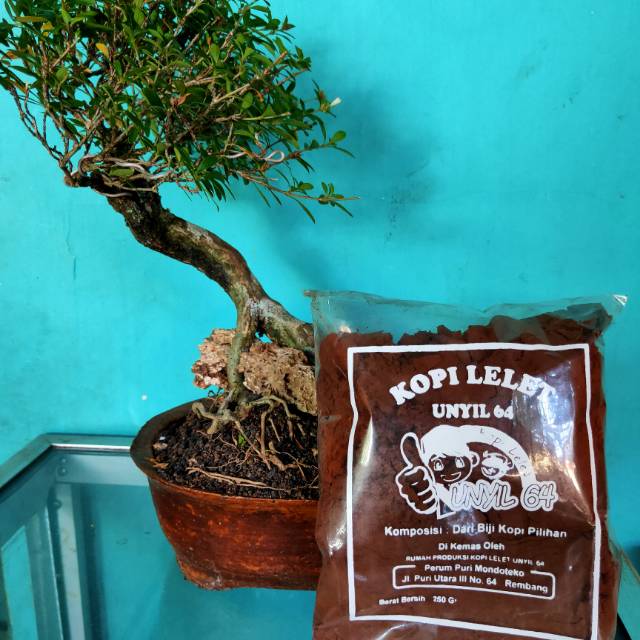 

Kopi lelet unyil64 khas rembang