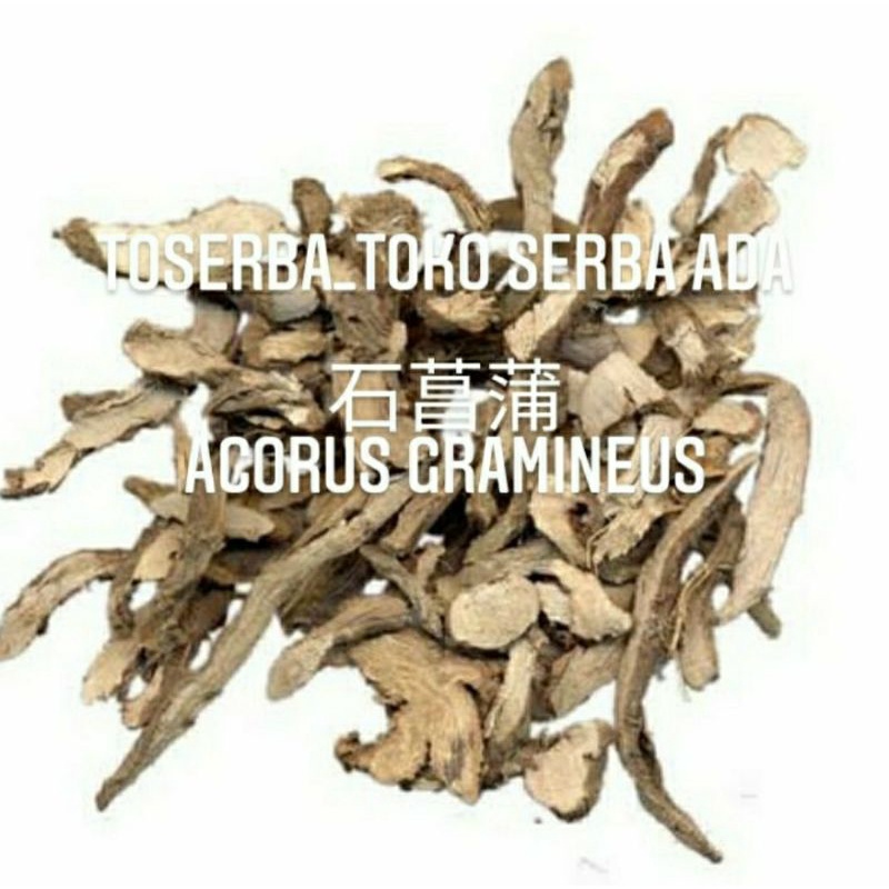

100gr Herbal Shi Chang Pu 石菖蒲 Calamus Japanese Rush / Acorus Tatarinowii / Acorus Gramineus Grade A