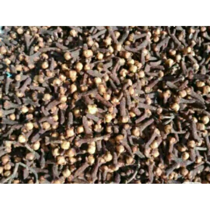 cengkeh kering 100gr