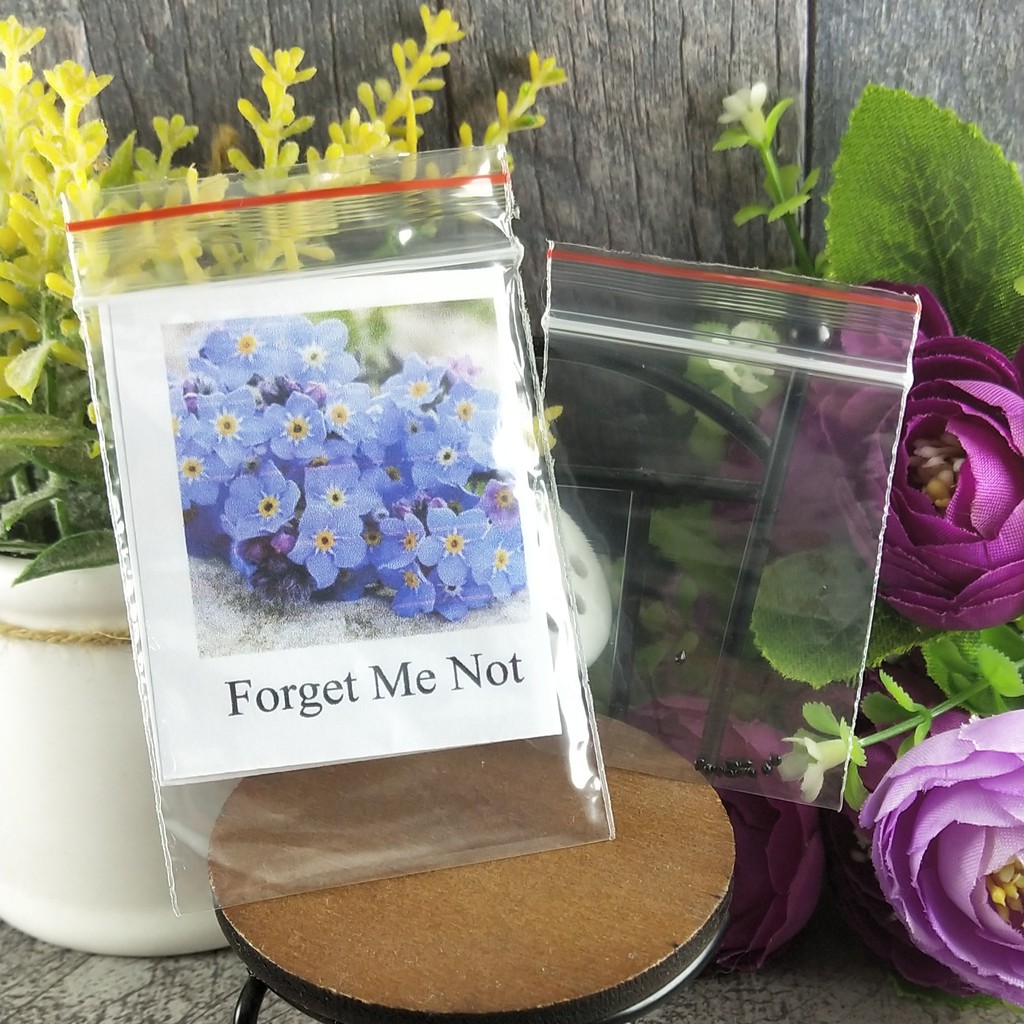 [Best Selling] 10 Seeds - Forget Me Not Haira Seed Biji Benih Bunga - SR0180