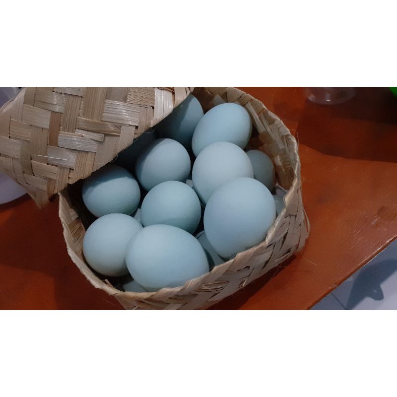 

Telur Bebek (Mentah/Matang)