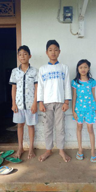 Kemeja Batik Pria Ppbtk07 Modern Lengan Panjang Casual Modis Trendy Masa Kini M L Xl Asli Pekalongan