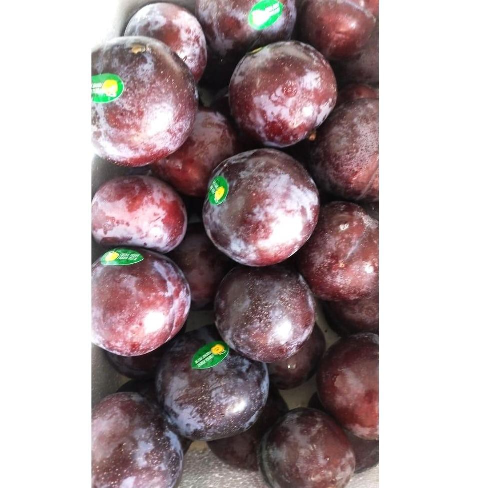 

[New Mall HD 12Ju5Cp] Buah Plum Segar Buah Mahal Kaya Manfaat - CKEY OFFICIAL Buah Segar Impor Sayur