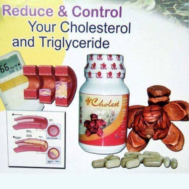 Obat herbal kolesterol (zhikoles dxn)