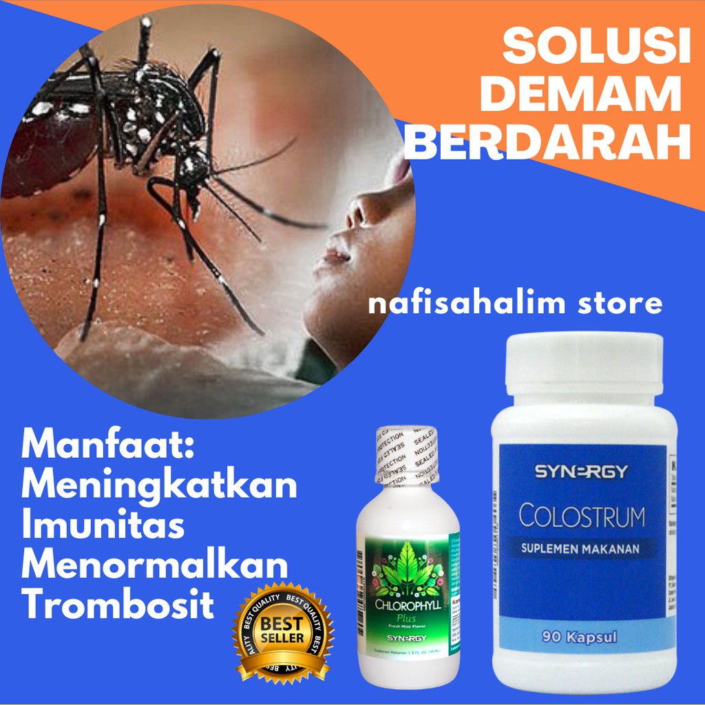 

Paket Herbal Solusi Penyakit Demam Berdarah