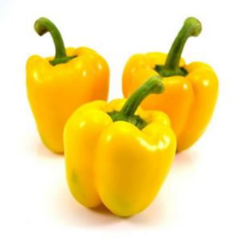 

Paprika 1buah (Bakulsayuronline)