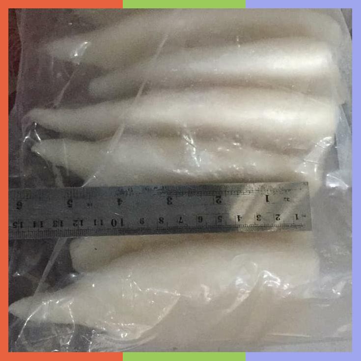 

Cumi Tube Kupas Beku 1 Kg Frozen Seafood