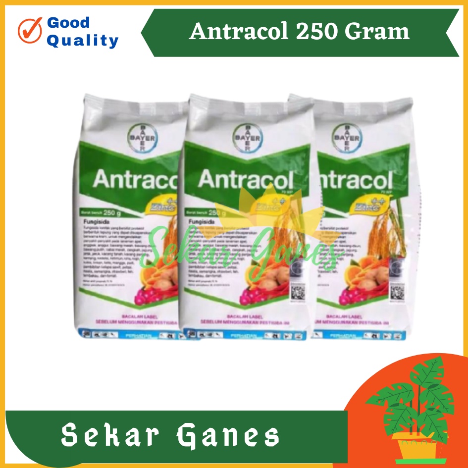 Fungisida Antracol 70 Wp 250 Gram Gr Obat Tanaman Jamur Untuk Anggrek Dan Tanaman Lain | Bukan Pupuk