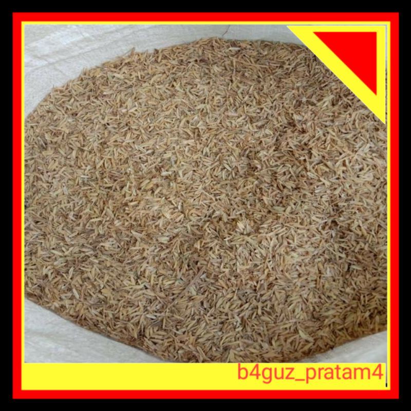 sekam padi / sekam mentah / media tanam