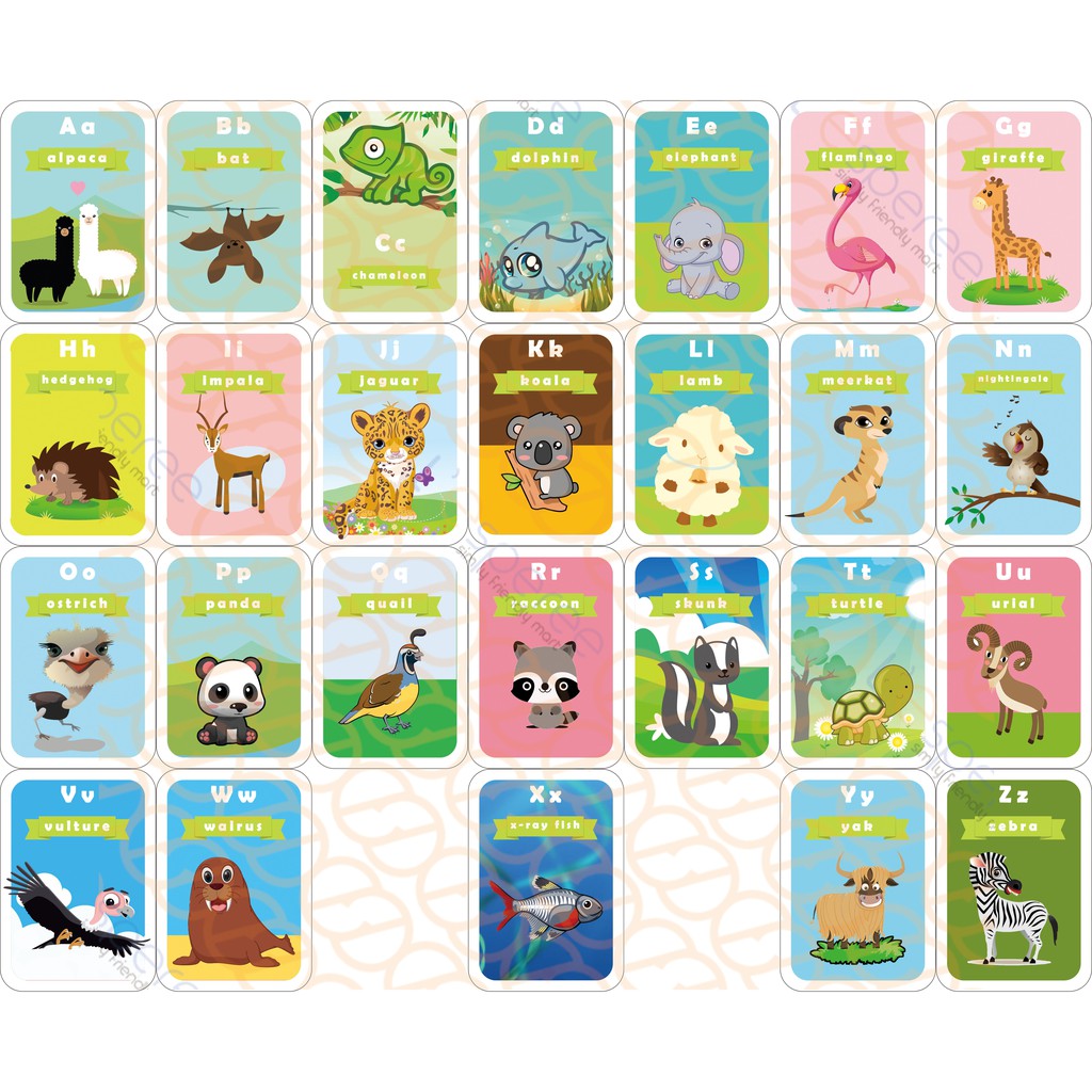 FLASH CARD ANIMAL ALPHABET KARTU BELAJAR BAYI ANAK 