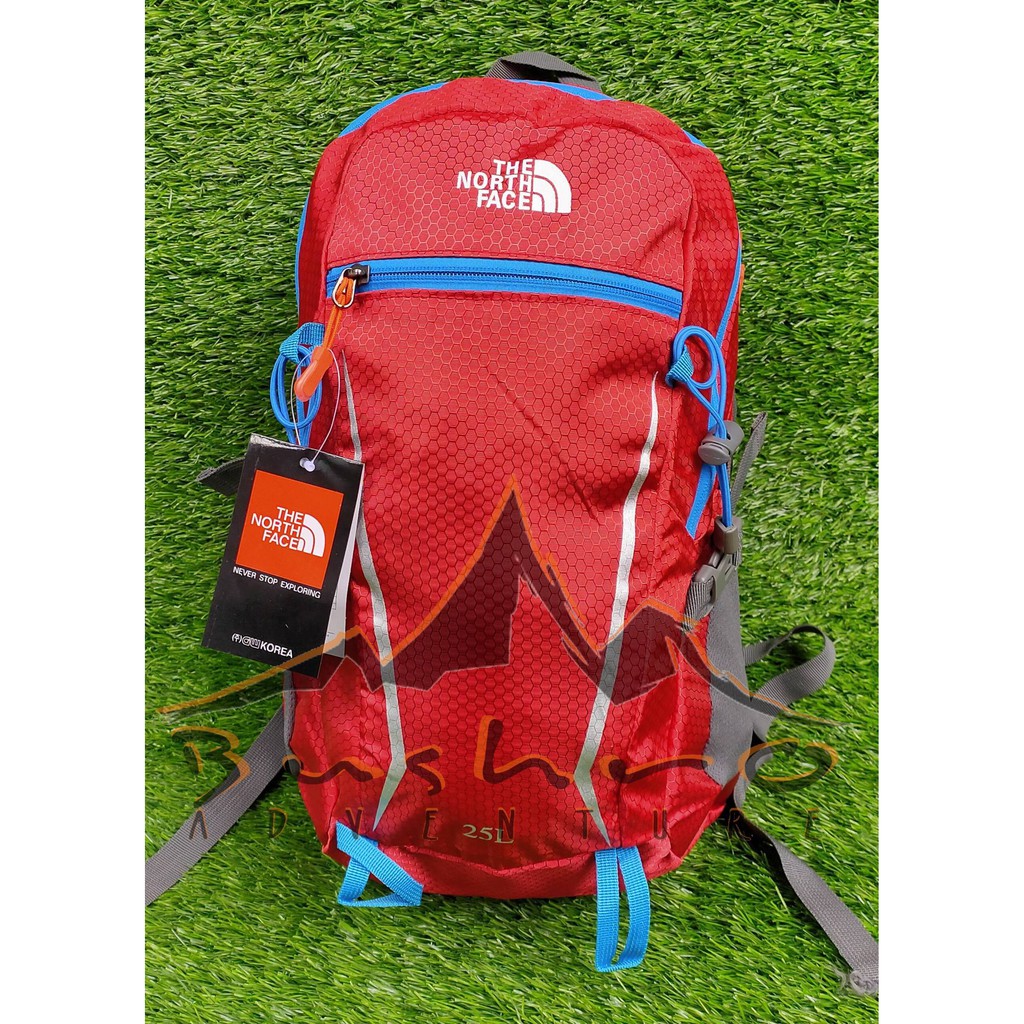Tas Ransel TNF kecil - tas sekolah ukuran mini 25lt