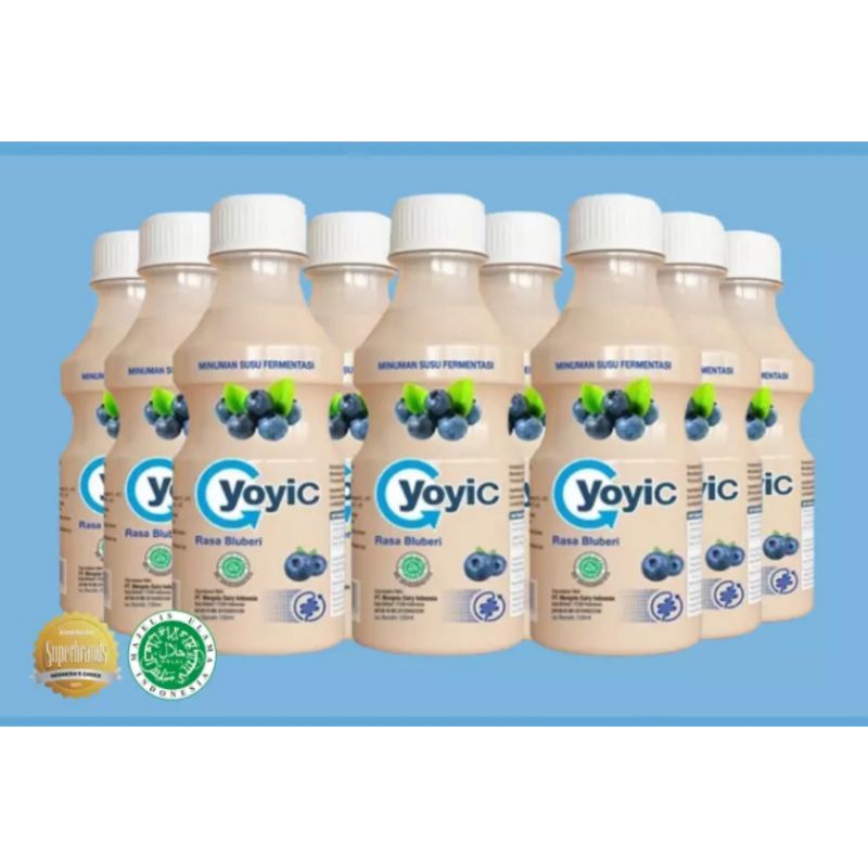 Yoyic minuman fermentasi bluberry isi 6,12pcs 130ml