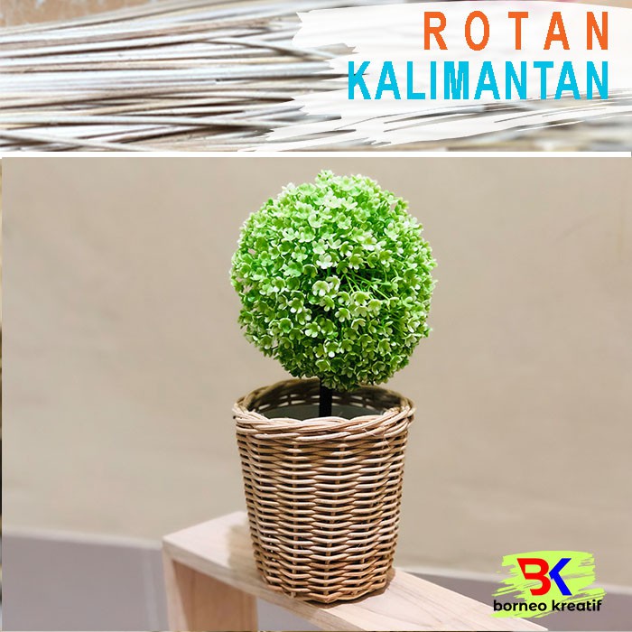 Mini Cover  Pot  Bunga Rotan  D 10cm Shopee Indonesia