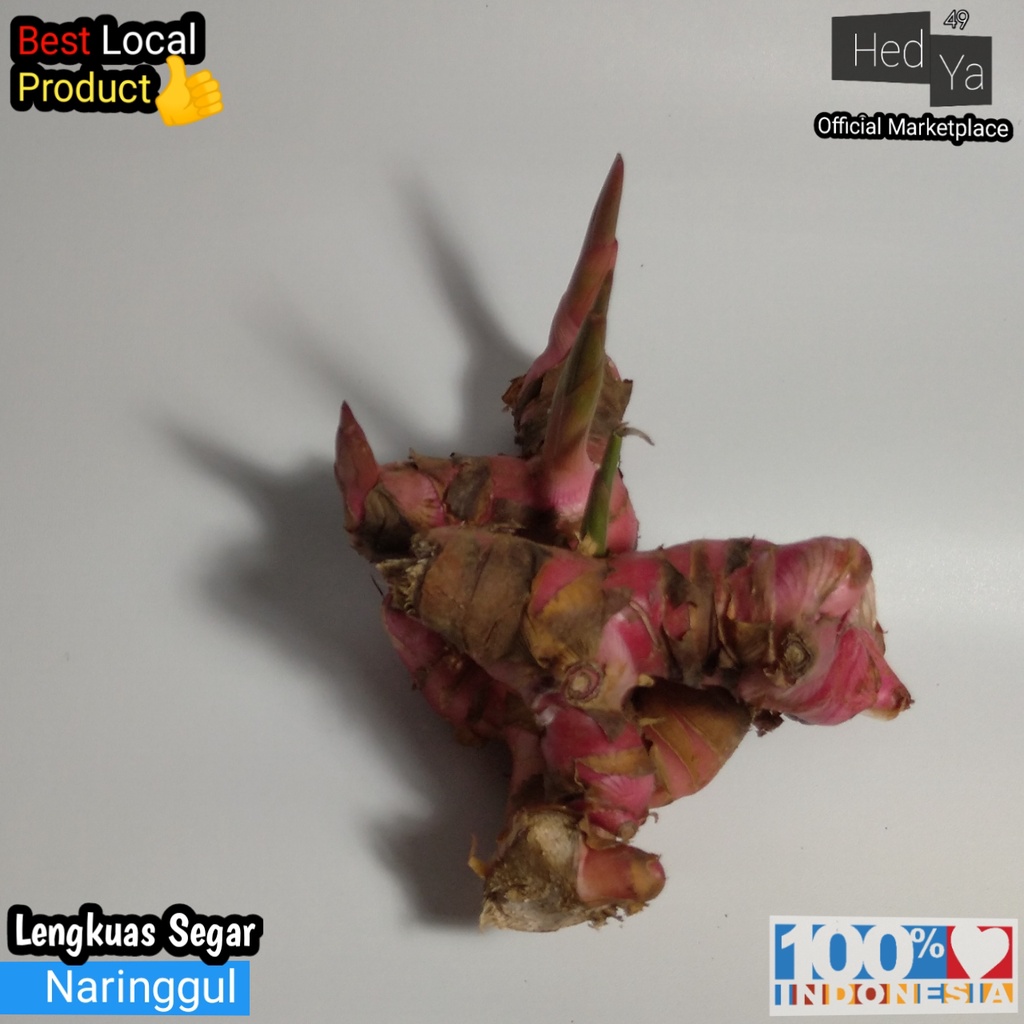 

250gr Lengkuas Laos Segar Fresh Premium