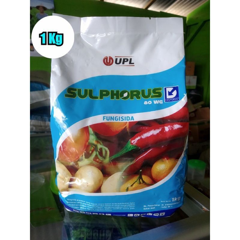 Sulphorus 80WG Fungisida Butiran Pengendali Penyakit Jamur ,Busuk & Layu pada Tanaman