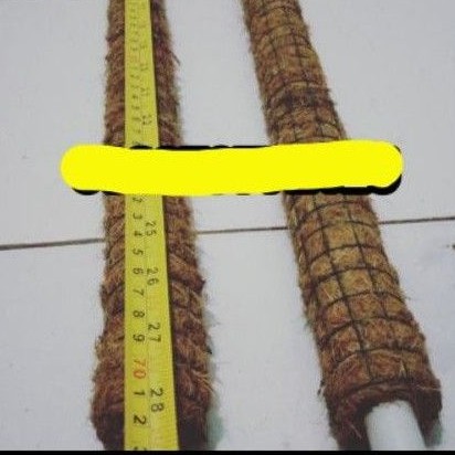 turus sabut kelapa 70 cm, tiang penyangga tanaman rambat