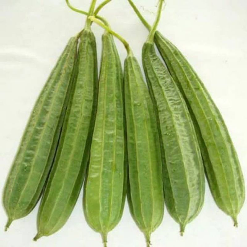

Sayuran oyong segar & fresh / 1kg dijual di warunk juni