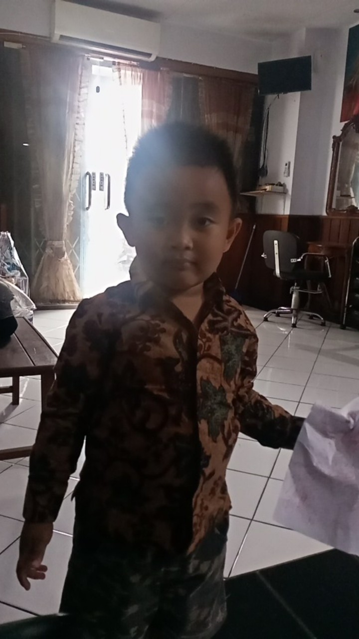 Kemeja Anak Laki-laki Batik Lengan Panjang Pekalongan Usia 2-11 Tahun /kemeja Anak