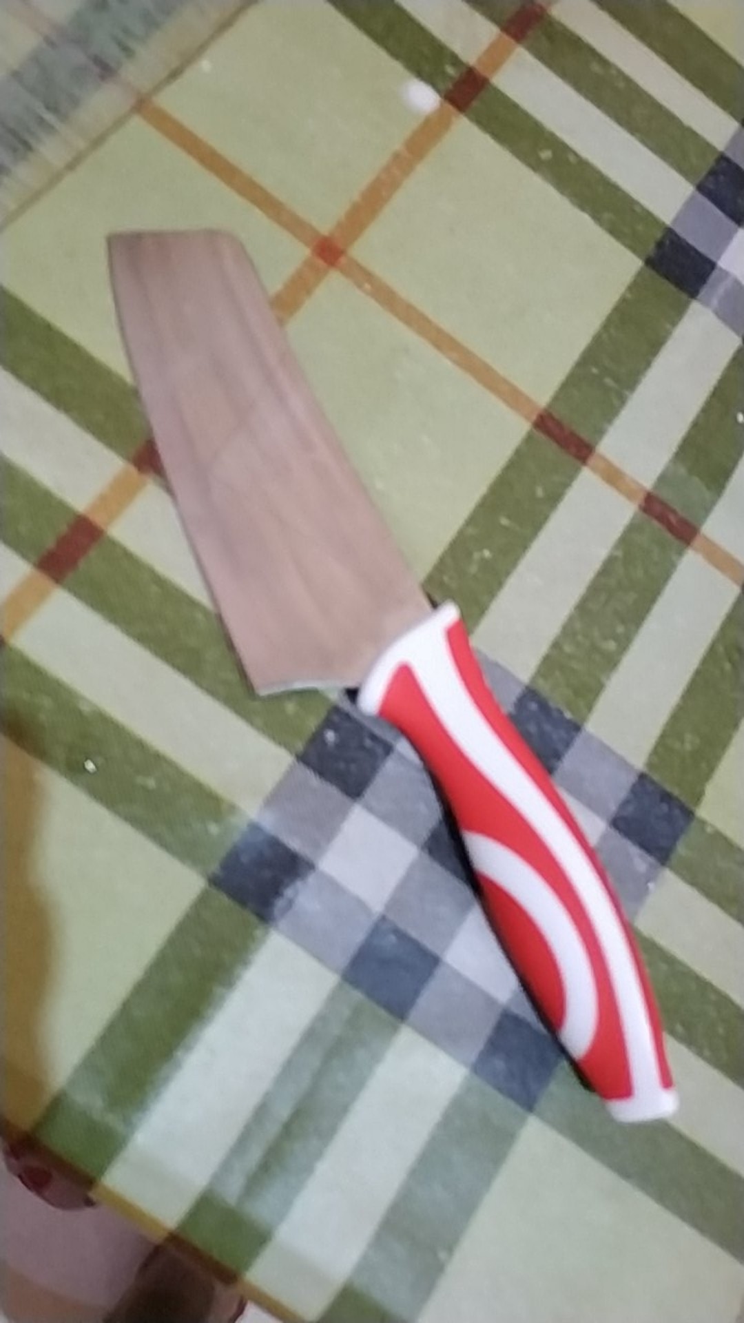 Pisau Aes 2293 / Pisau Dapur Serbaguna Murah Tajam Gagang Warna / Golok Mini