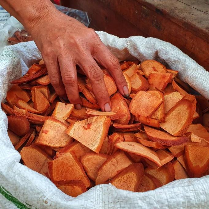 

Best Seller Teh Celup Bajakah Kalalawit Merah Original Asli Kalimantan Bajakah