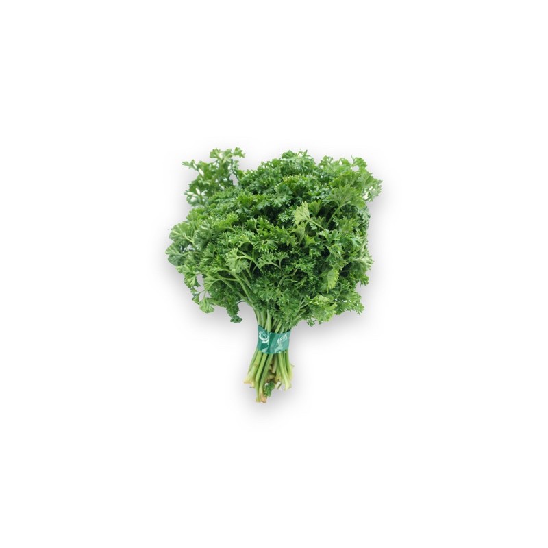 

SAYUR ORGANIK Parsley (Peterseli)