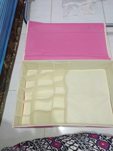 Underwear Storage Box | Tempat Penyimpanan Pakaian Dalam
