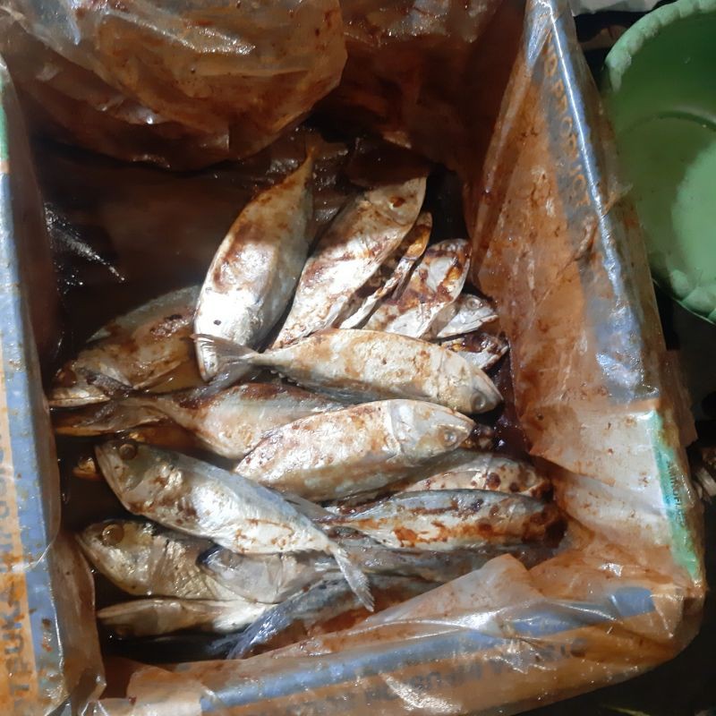 

Ikan Asin Peda Merah