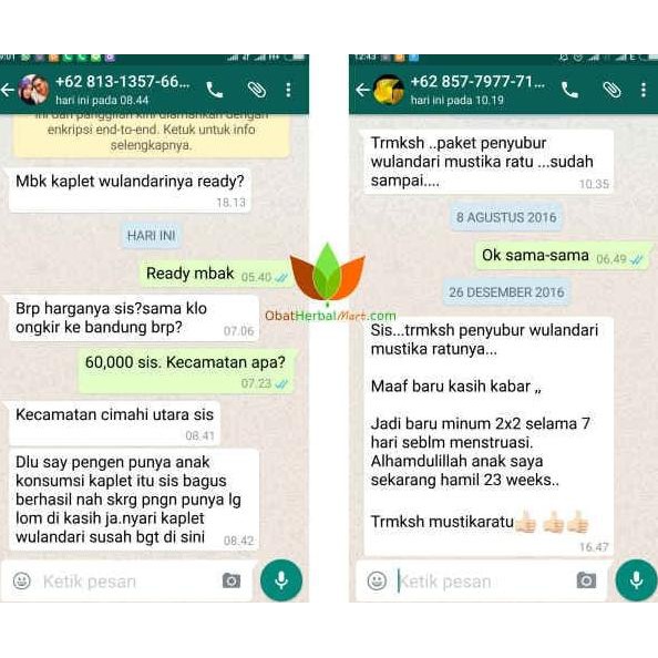 Promo0 Kaplet Wulandari Sariayu Obat Penyubur Rahim Berkualitass