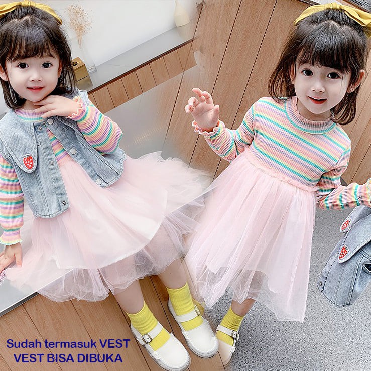 Dress Anak Perempuan PREMIUM Strawberry Rainbow Tutu