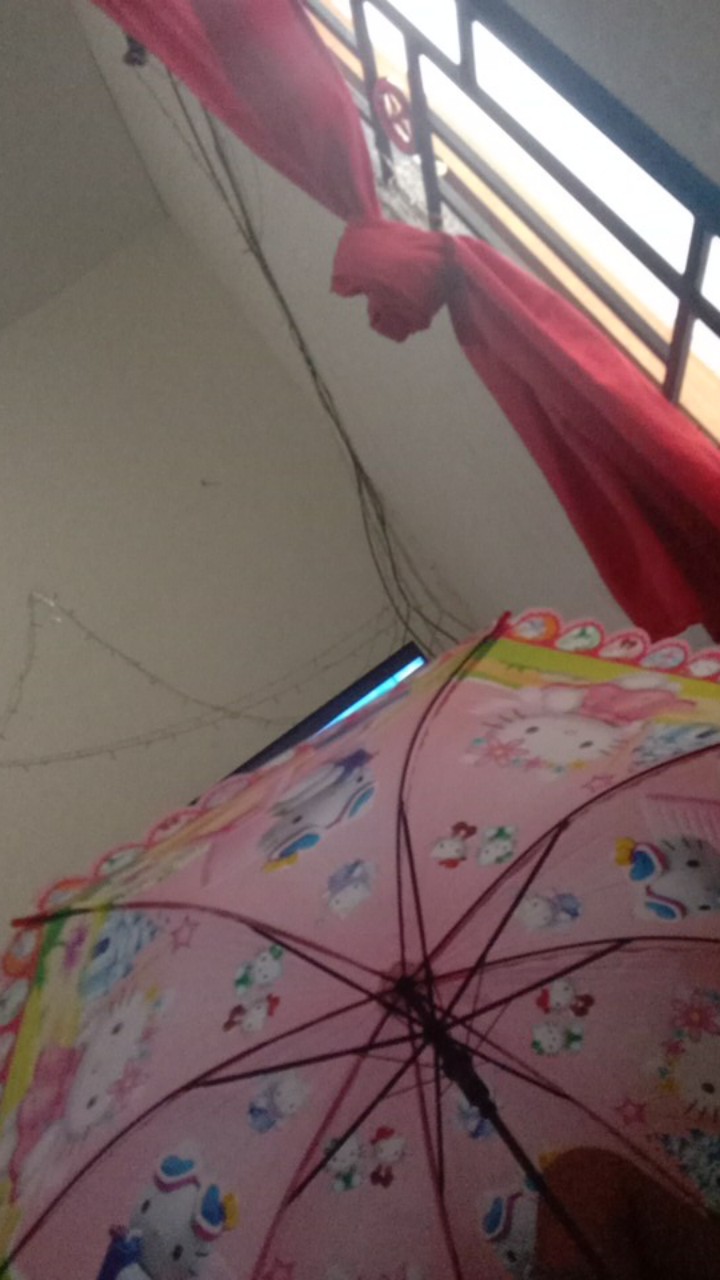 Payung Pvc Anak Karakter Full Print Renda Printing