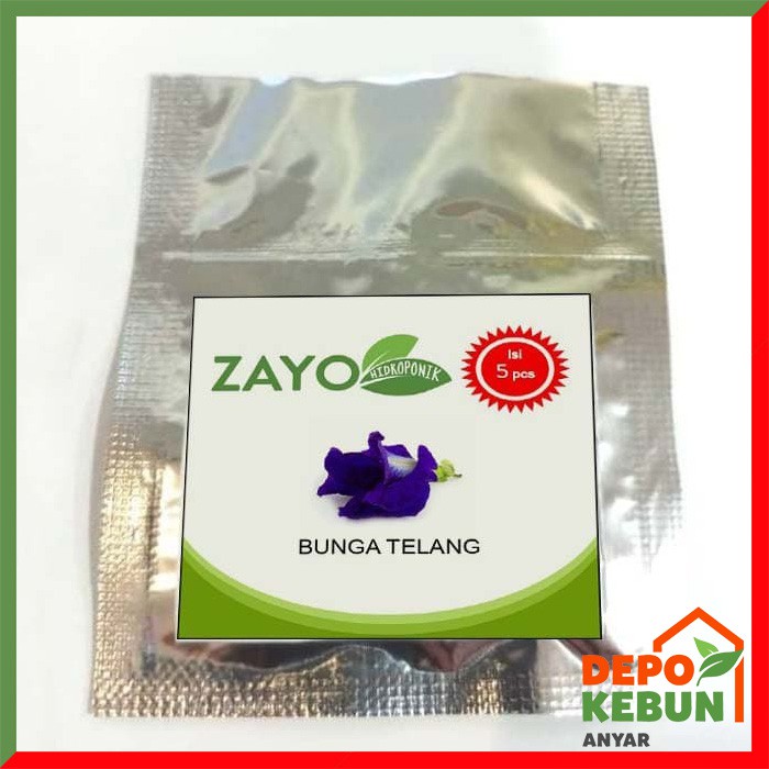 BENIH BUNGA TELANG / BIBIT BUNGA TELANG