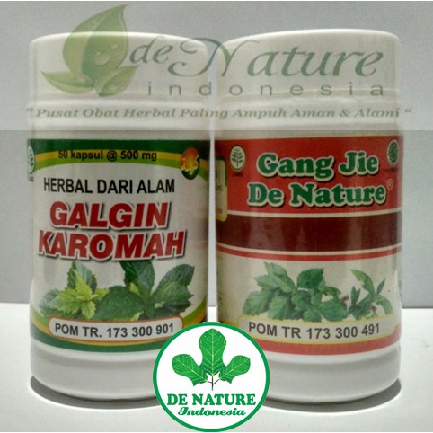 

HERBAL DIABETES KERING DAN BASAH