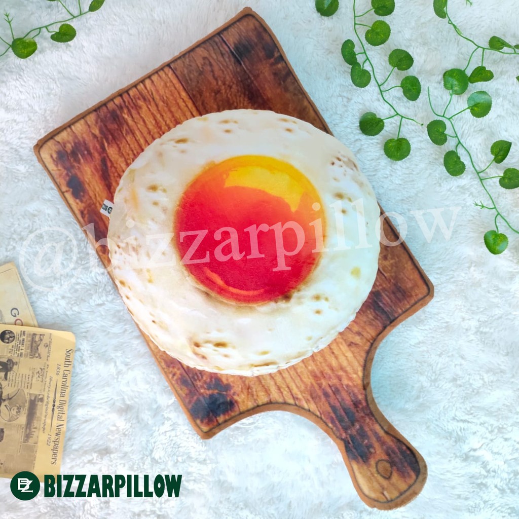 Bizzarpillow Bantal Motif Telur Telor Size M BZ061