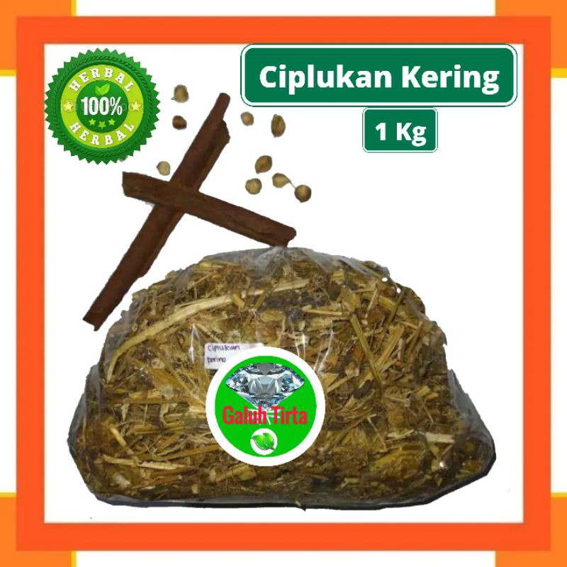 

CIPLUKAN CEPLUKAN KERING 1 KG - Physalis Angulata - MURNI - JSR