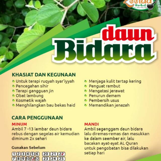 

Teh Daun Bidara Terlaris